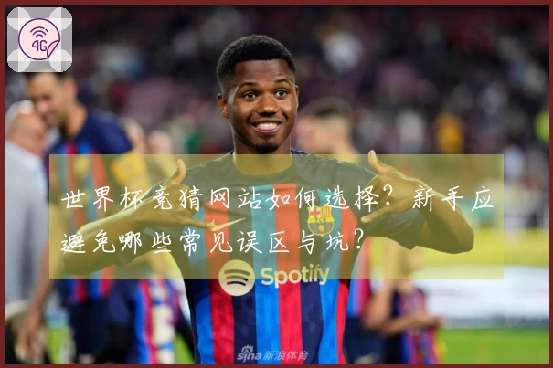 世界杯竞猜网站如何选择？新手应避免哪些常见误区与坑？