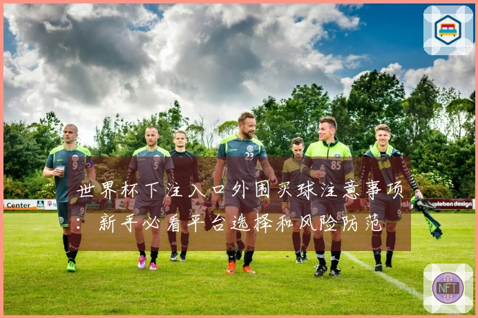 世界杯下注入口外围买球注意事项：新手必看平台选择和风险防范