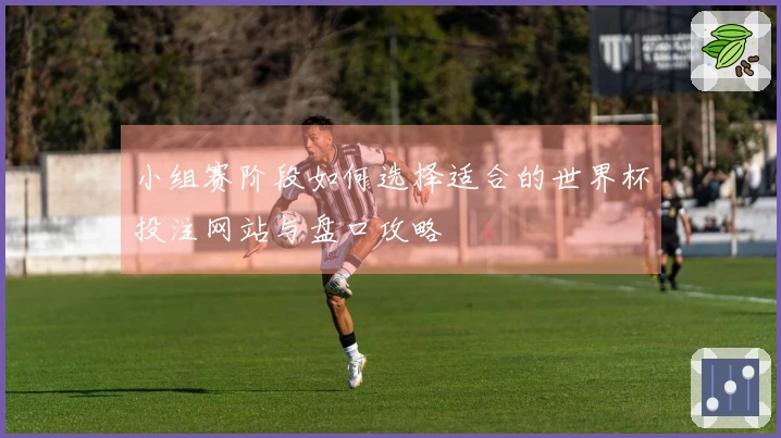 小组赛阶段如何选择适合的世界杯投注网站与盘口攻略