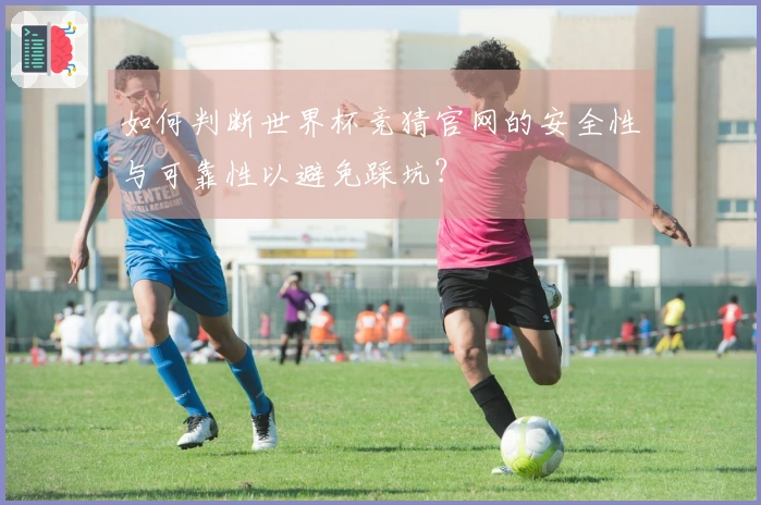如何判断世界杯竞猜官网的安全性与可靠性以避免踩坑？