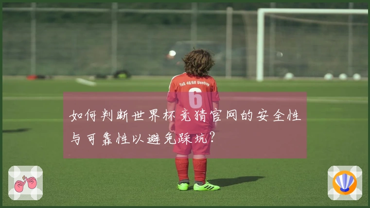 如何判断世界杯竞猜官网的安全性与可靠性以避免踩坑？