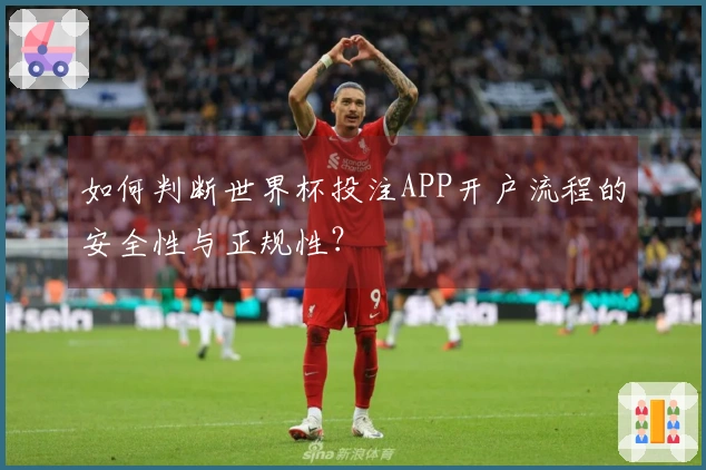 如何判断世界杯投注APP开户流程的安全性与正规性？