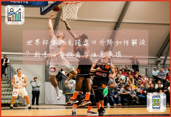 世界杯体彩竞猜盘口升降如何解读？新手必看指南与注意事项