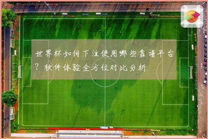 世界杯如何下注使用哪些靠谱平台？软件体验全方位对比分析