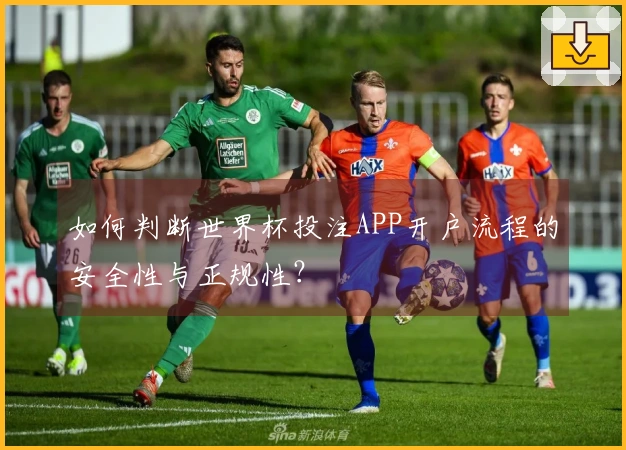 如何判断世界杯投注APP开户流程的安全性与正规性？